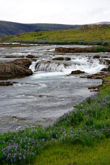 Landschaft am Hvalfj&ouml;r&eth;ur (Walfjord) in Islands S&uuml;d-Westen