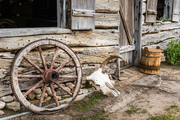 Obraz premium Wagon Wheel and Cow Skull