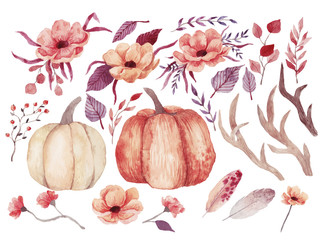 Big watercolor set with pumpkins, flowers and feathers. Also this set includes horns and branches. Hand drawn watercolor illustration