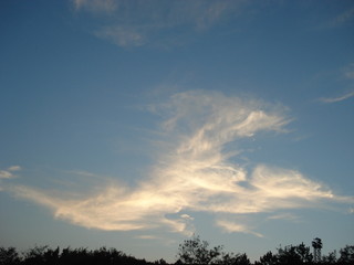 A cloud shaped like a giant bird or dragon