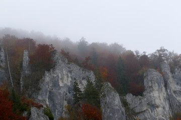 Nebel über den Felsen im Herbst