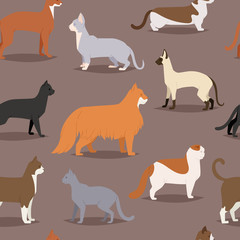 Different cat breeds cute kitty pet cartoon cute animal character set seamless pattern
