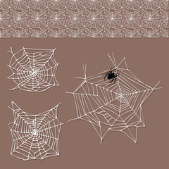 Spider web silhouette arachnid fear graphic flat scary animal design nature insect danger horror halloween vector icon.