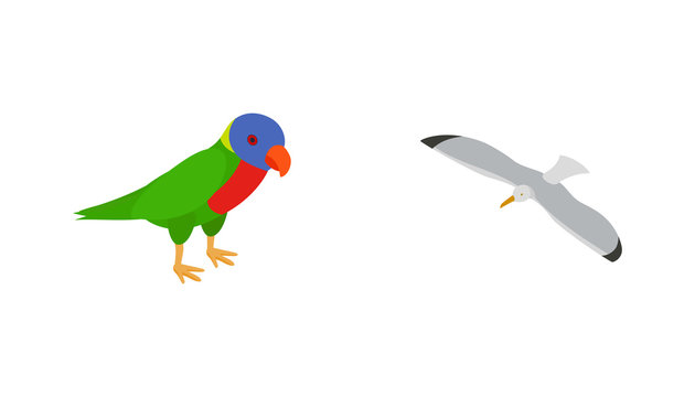 Birds icon set, isometric style