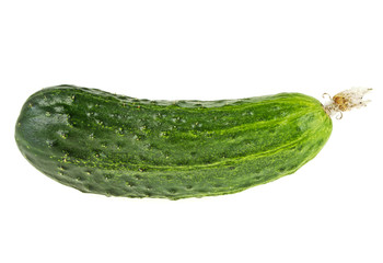 Fresh cucumber isolated on a white background