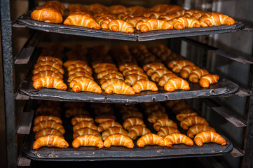 Delicious freshly baked croissants on the baking tray on fabric manufacture. Selective focus.