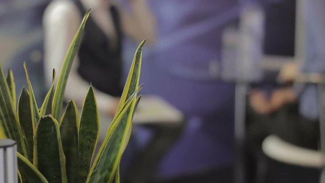 Abstract Background bokeh in Meeting Business Interior office with People blured, shallow depth of focus. job interview