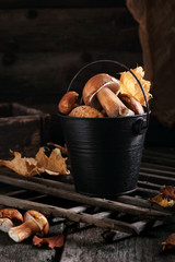 mushrooms in a black bucket