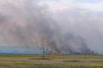 Fototapeta na wymiar In the burning reeds. A helicopter tries to extinguish