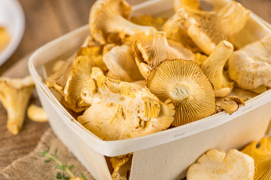 Fresh harvested Chanterelles (on a wooden table)