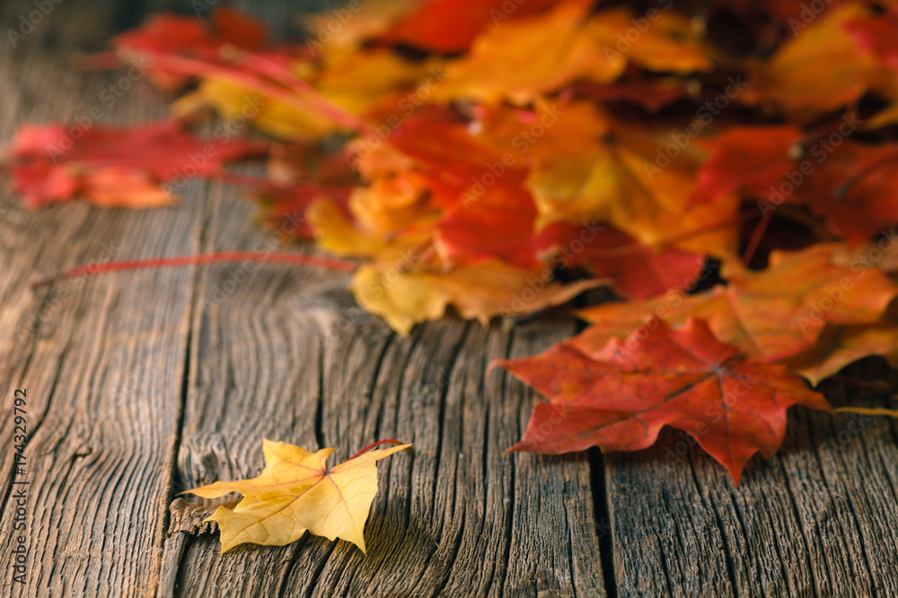 Wall mural fall background with maple leaves on wood table