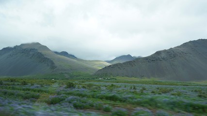 Landschaft am Hvalfjörður (Walfjord) in Islands Süd-Westen