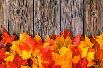 Naklejka na ściany i meble Fall creative art concept, maple leaves on table