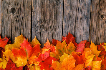 Naklejka na ściany i meble Autumn maple leaves on rustic table