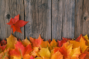Fall maple leaf on wooden table, background texture