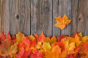 Naklejka na ściany i meble Relax time in fall season. Red maple leaf on table
