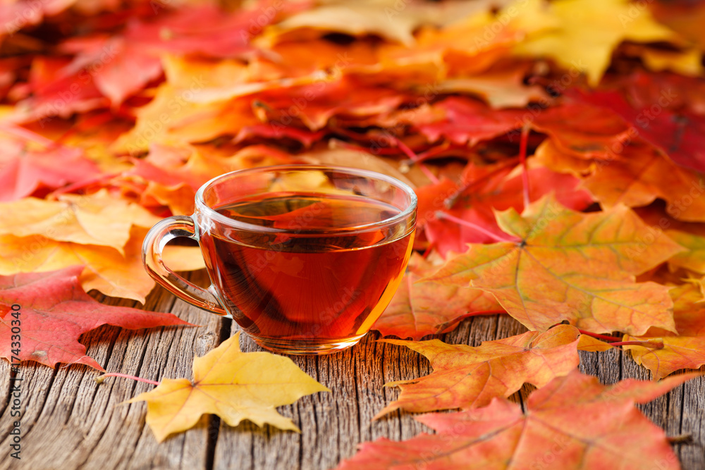 Canvas Prints fall background with maple leaves on wood table