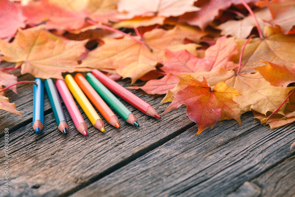 Canvas Prints art workplace in fall maple leaves.