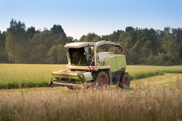Fototapeta premium harvester in work on the green field under the blue sky and green forest