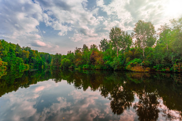 River in the forest under blue sky with clouds