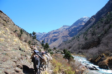 Hiking in Bhutan 