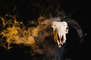 Obraz premium Ram skull with horns and yellow smoke