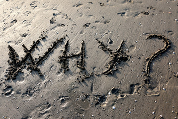 great inscription WHY on the beach sand