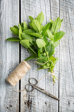 Branch mint leaves and thread with scissors.