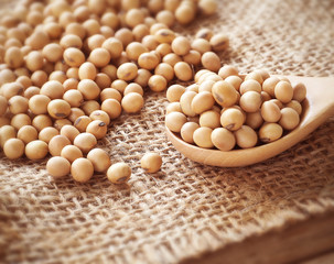 soybean in the wooden cup on the wood table