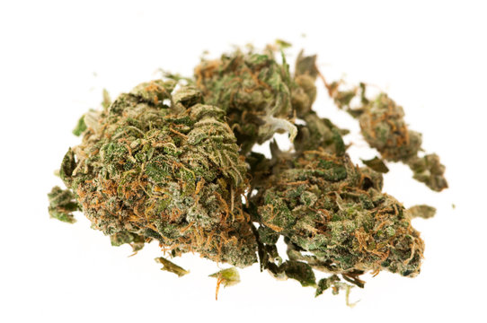 Two buds of herbal marijuana