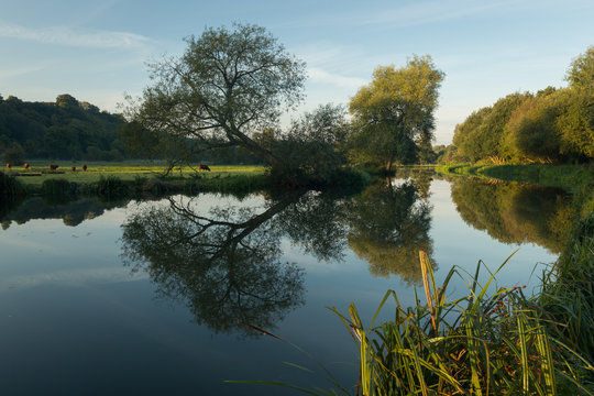 Reflections Of The River Wey