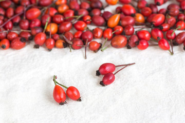 fall, health, treatment concept. close up of oval berries that are growing doubles and have extremelly beautiful colours from bright red to orange, they are standing out on the white background