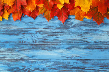 Autumn maple leaf on blue wooden table. Fall background with copy space
