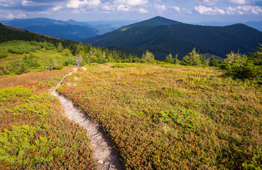 Fototapeta premium pathway in mountains