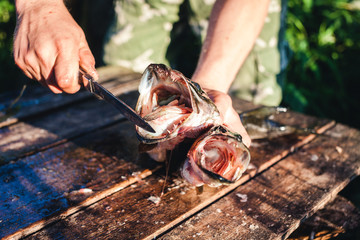 A man with a knife shows the teeth of a predatory fish