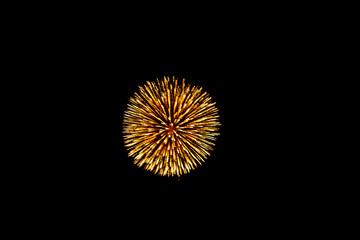Fototapeta premium Celebratory fireworks on the background of night city and the black sky.