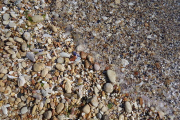 Pebbles of stones and shells on seashore