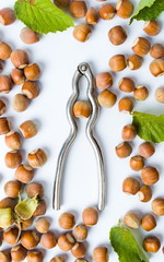 Hazelnuts with cracking tool on white
