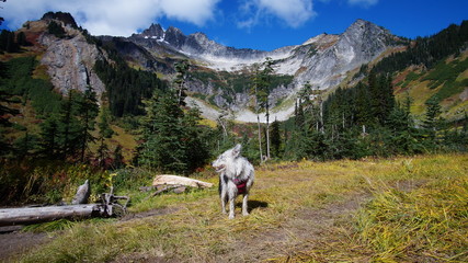 Fall in the Pacific Northwest