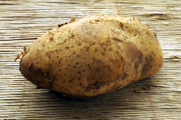 Solanum tuberosum Patata Kartoffel Potato Krompir &Pi;&alpha;&tau;ά&tau;&alpha; 马铃薯 Khoai t&acirc;y Peruna Potatis 