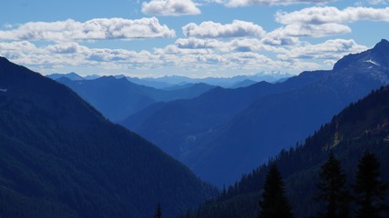 Obraz premium Fall in the Pacific Northwest