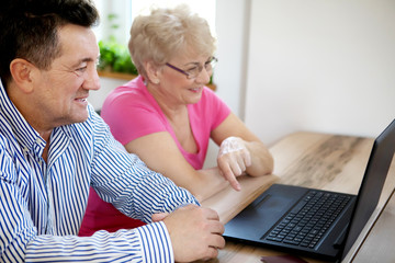 The senior couple surfing the internet with laptop computer