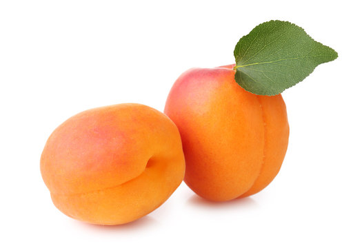 Fresh apricots on white background