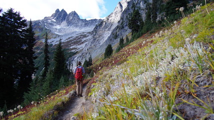 Fototapeta premium Fall in the Pacific Northwest