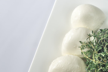 Mozzarella with herbs