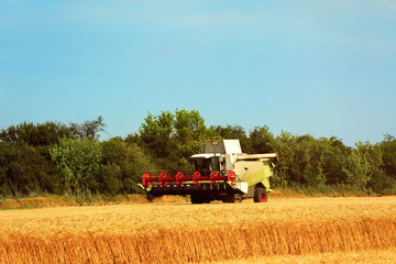 Obraz premium Combine harvester in field