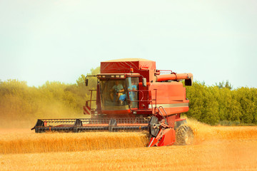 Obraz premium Combine harvester working in field