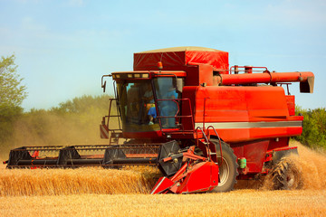 Combine harvester working in field
