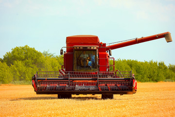 Combine harvester in field