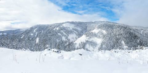 Obraz premium Beautiful lake Amut in taiga hills on Far East of Russia in early october. Mountain in winter. Beautiful nature. Snowy weather.
